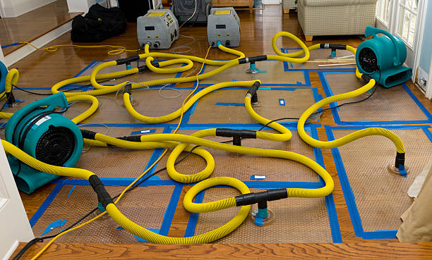 Professional Crawl Space Water Removal technician working in Boynton Beach, FL